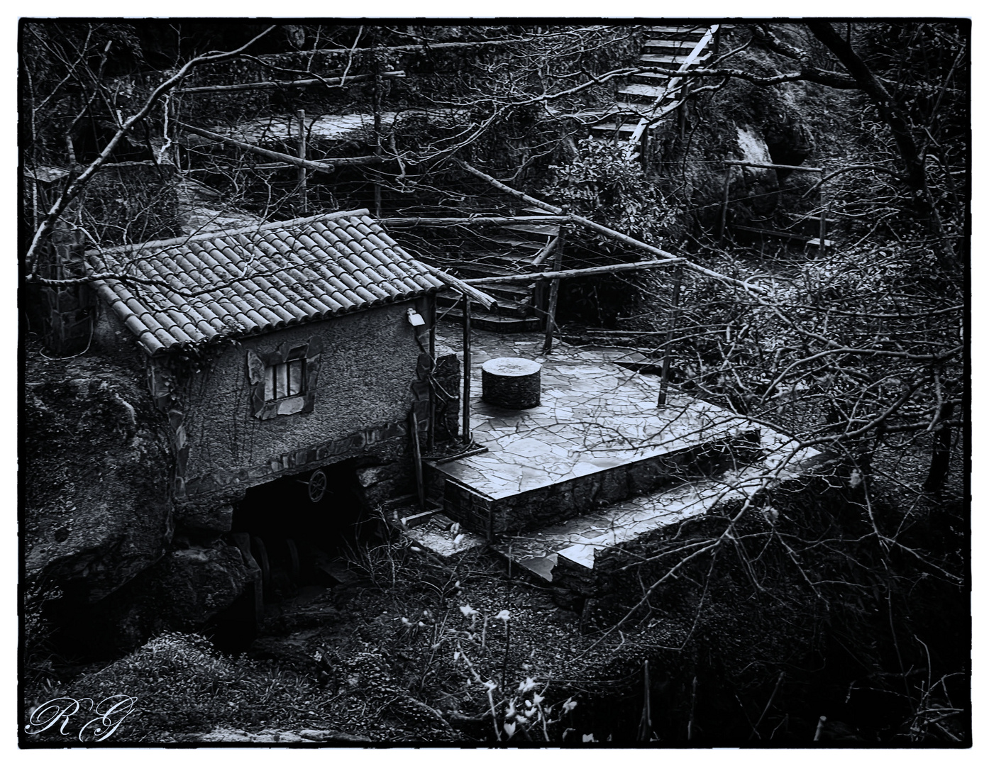 molinos en el bosque