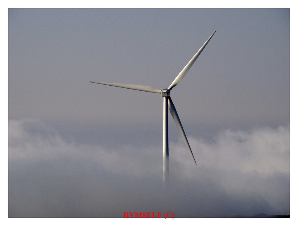 Molinos en la niebla.