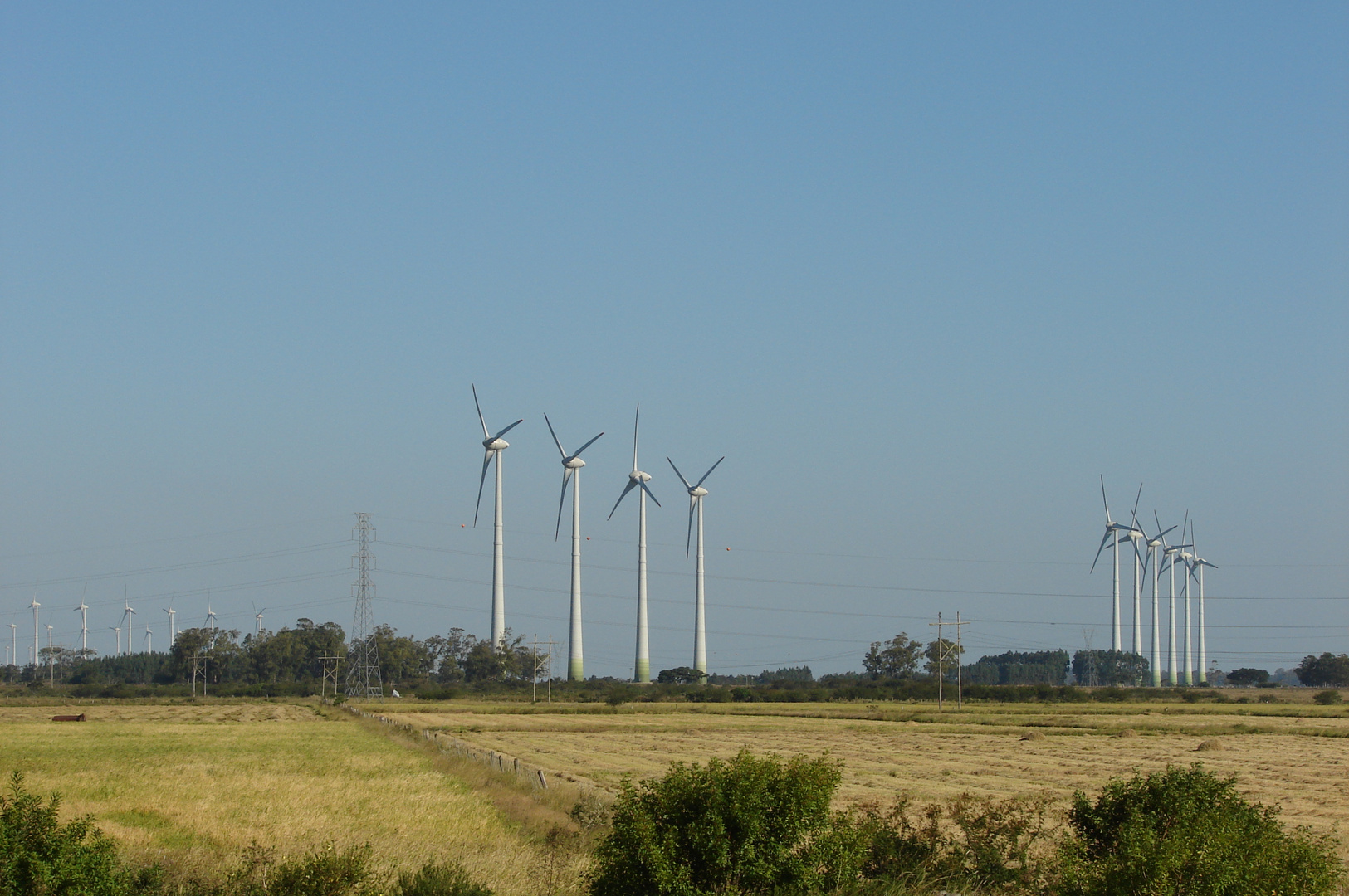 MOLINOS EN SOMBRIO BRASIL