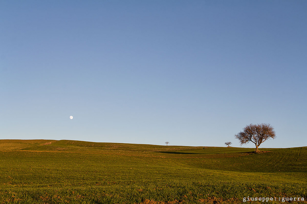 Molise Land