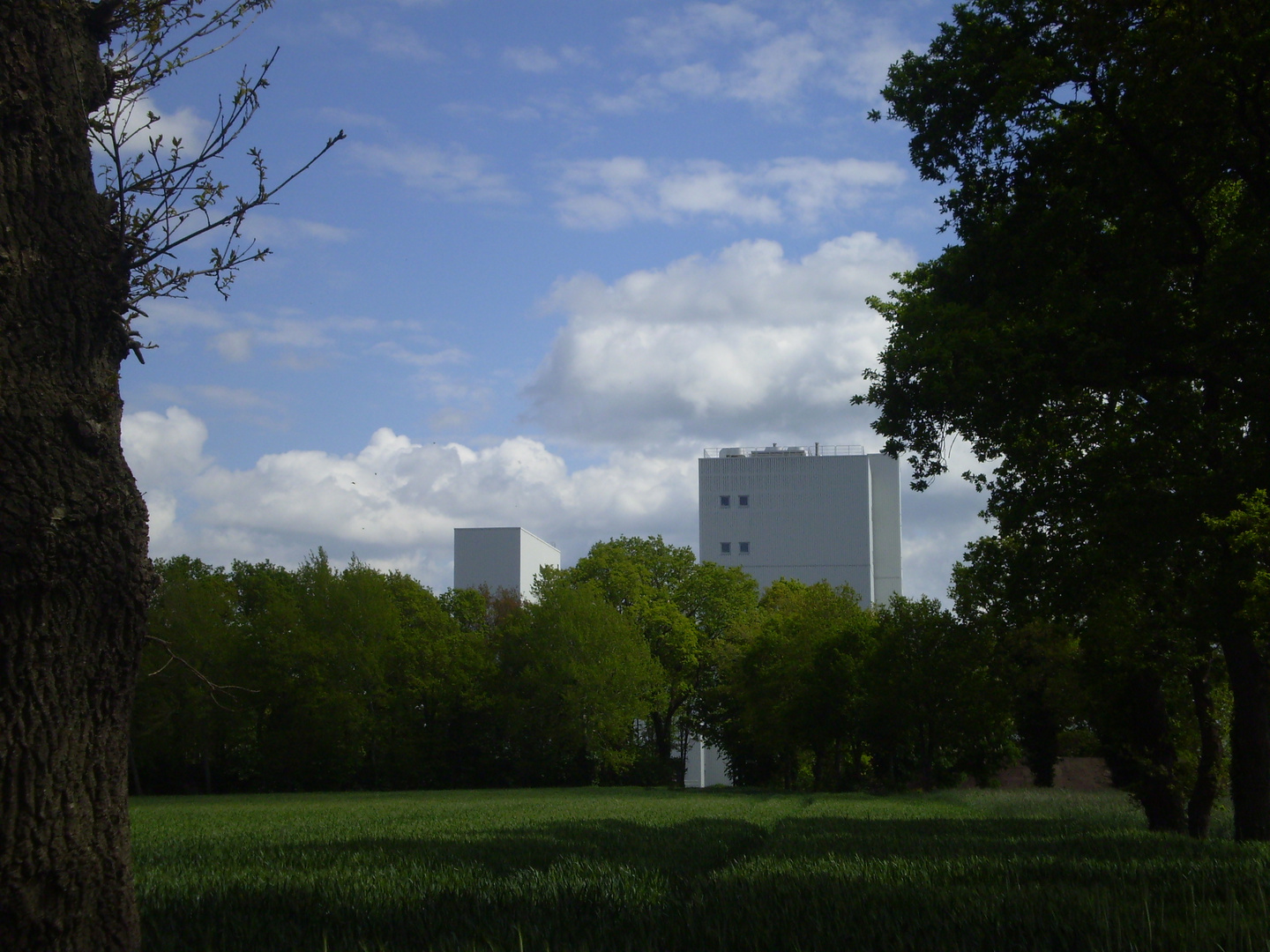 Molkerei Ammerland im Grünen