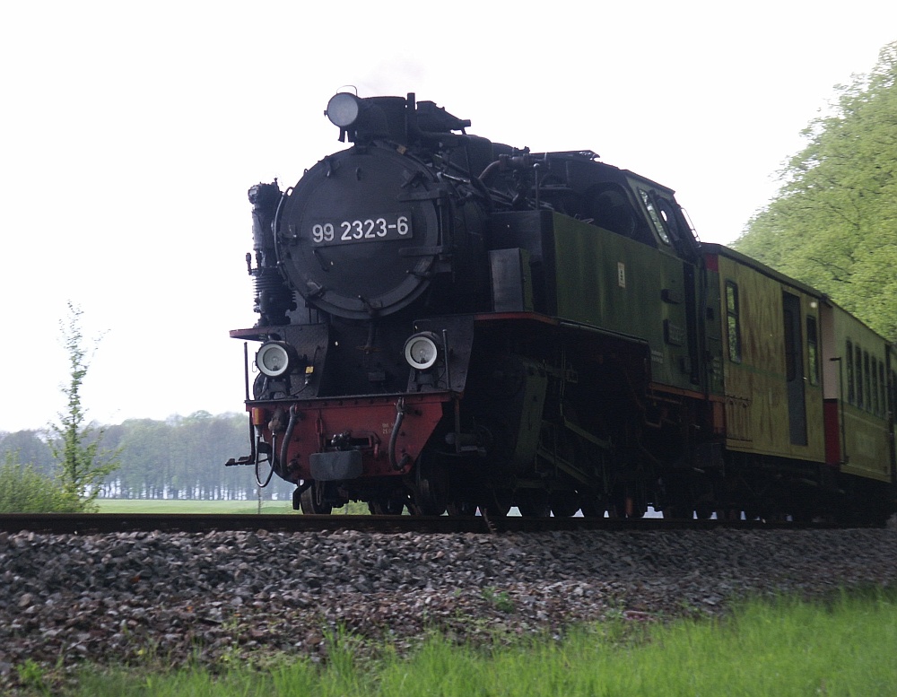 Molli auf dem Weg nach Bad Doberan