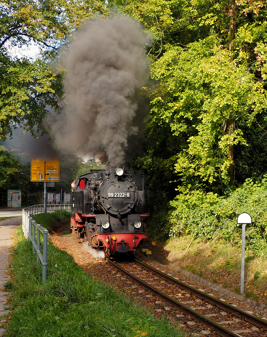 Molli Bäderbahn...