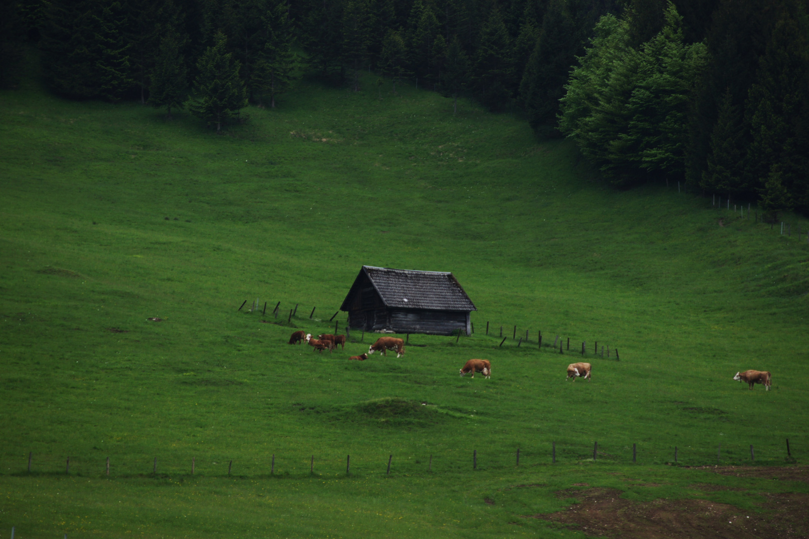 Molln - Breitenau