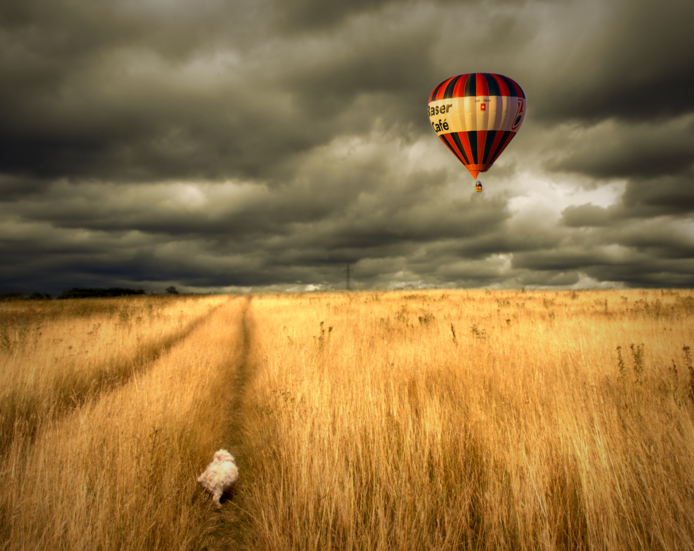 Molly and the Balloon