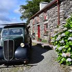 Molly Gallivan's Cottage