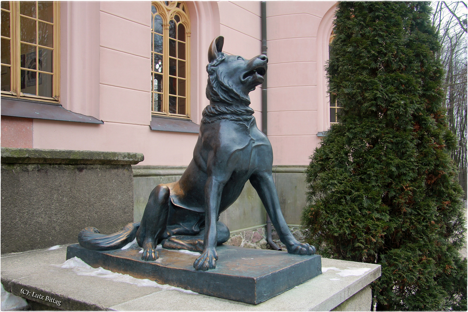 Molosserhund von Granitz