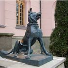 Molosserhund von Granitz