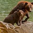 mom and her cub