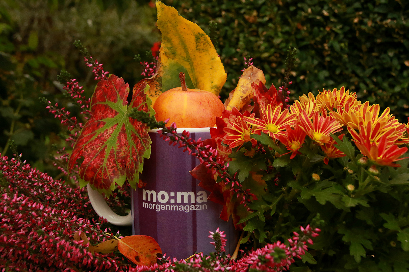 moma Tasse herbstlich