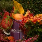 moma Tasse herbstlich