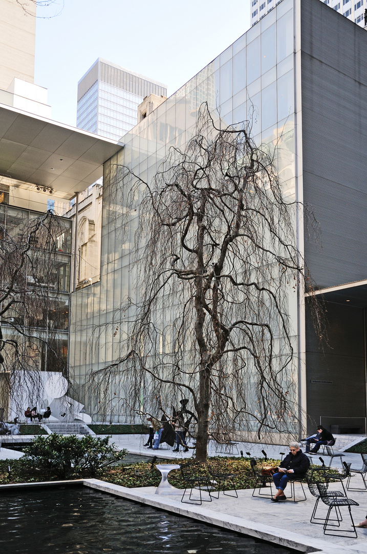 MOMA The Garden DSC_5389