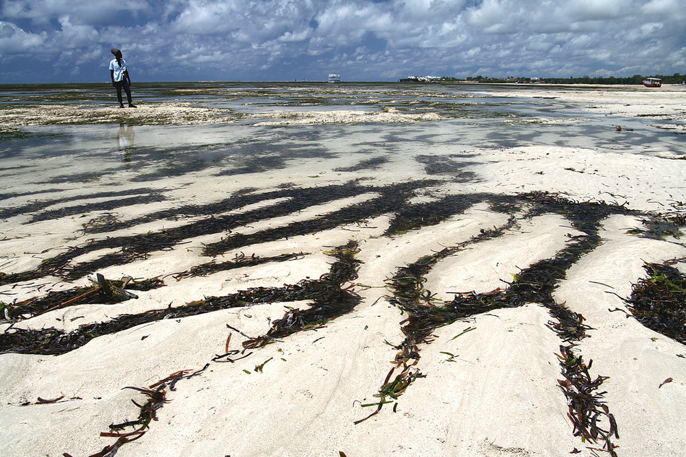 Mombasa sulla costa