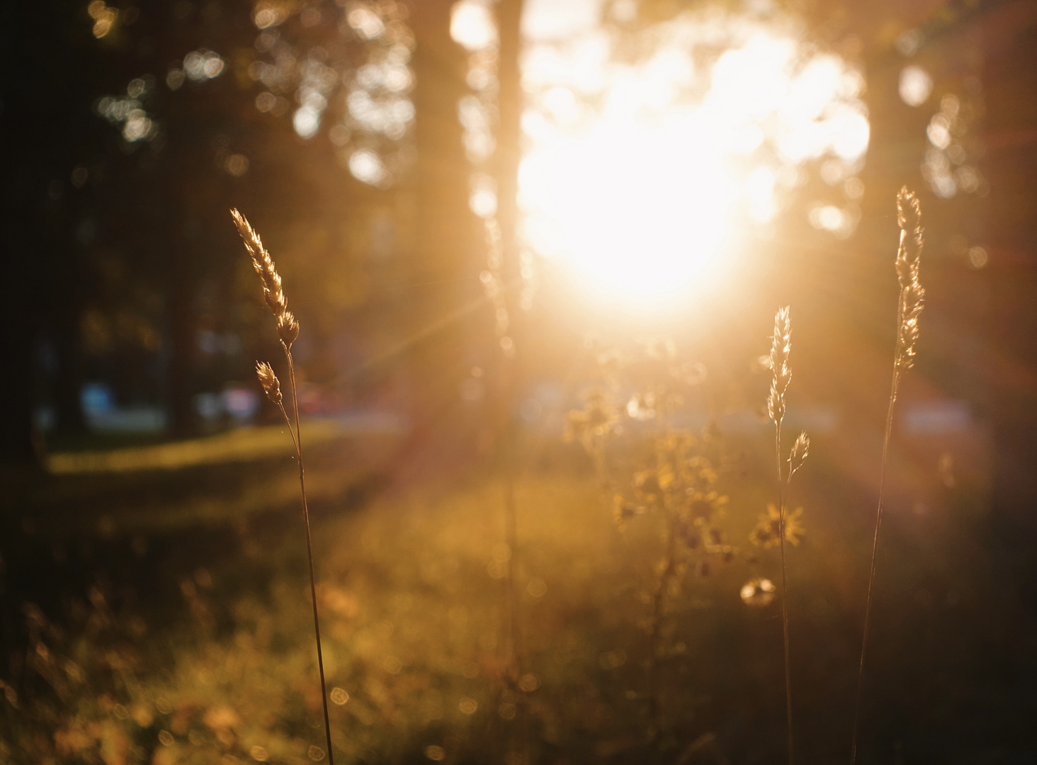 Moment 48 - Im Abendlicht 