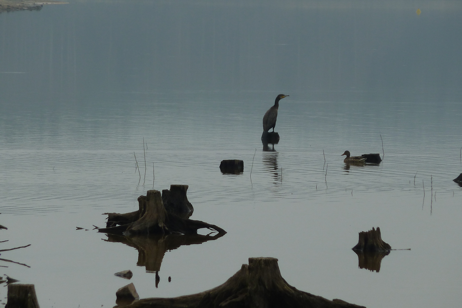 Moment am Stausee