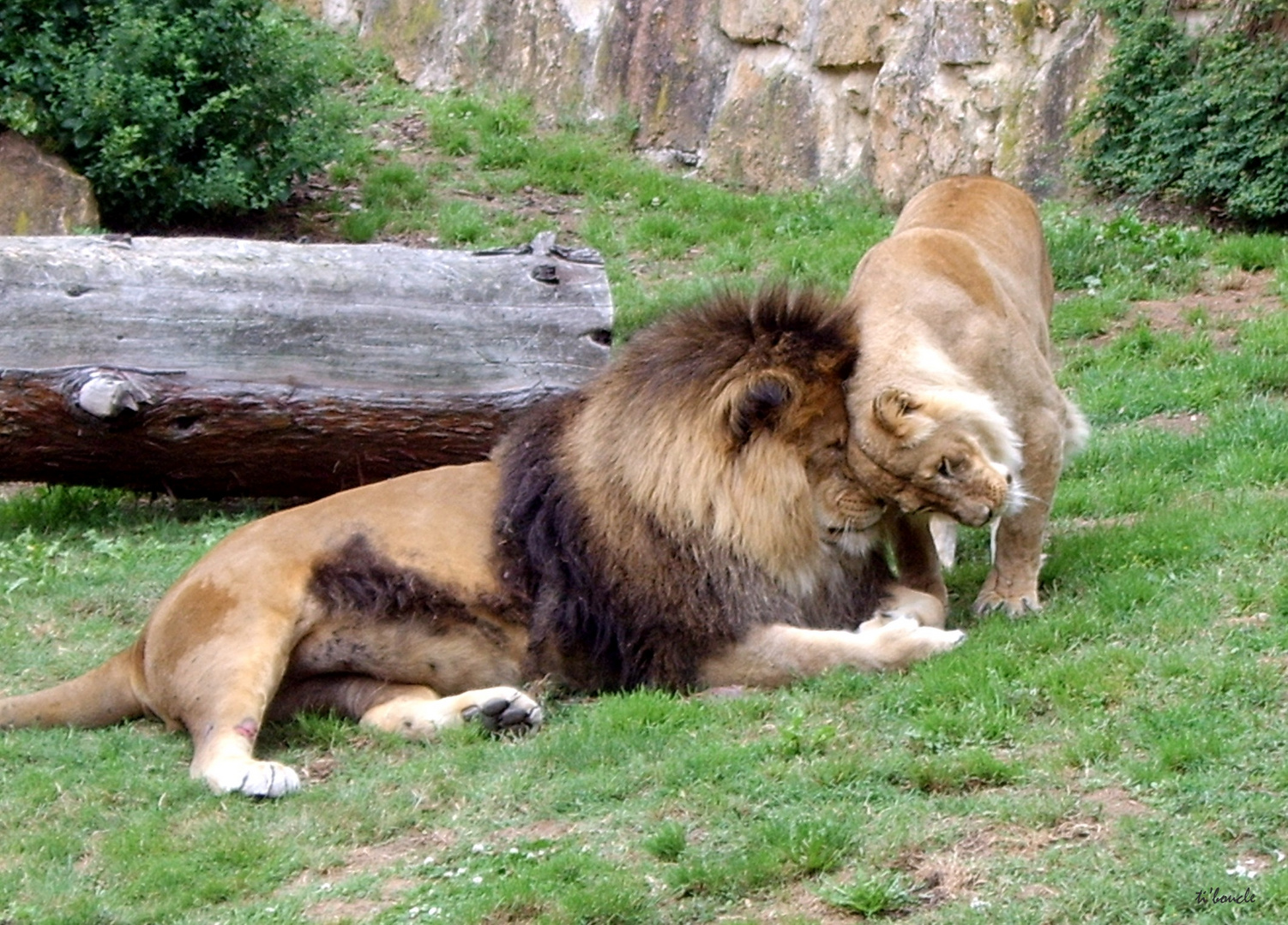 Moment de tendresse