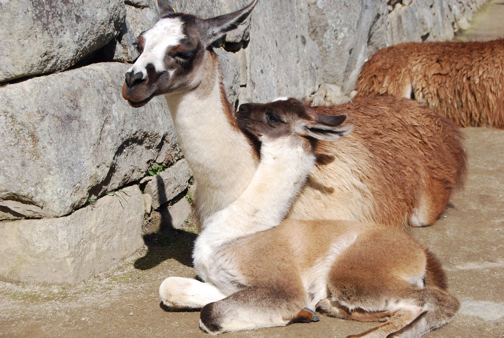 Moment de tendresse