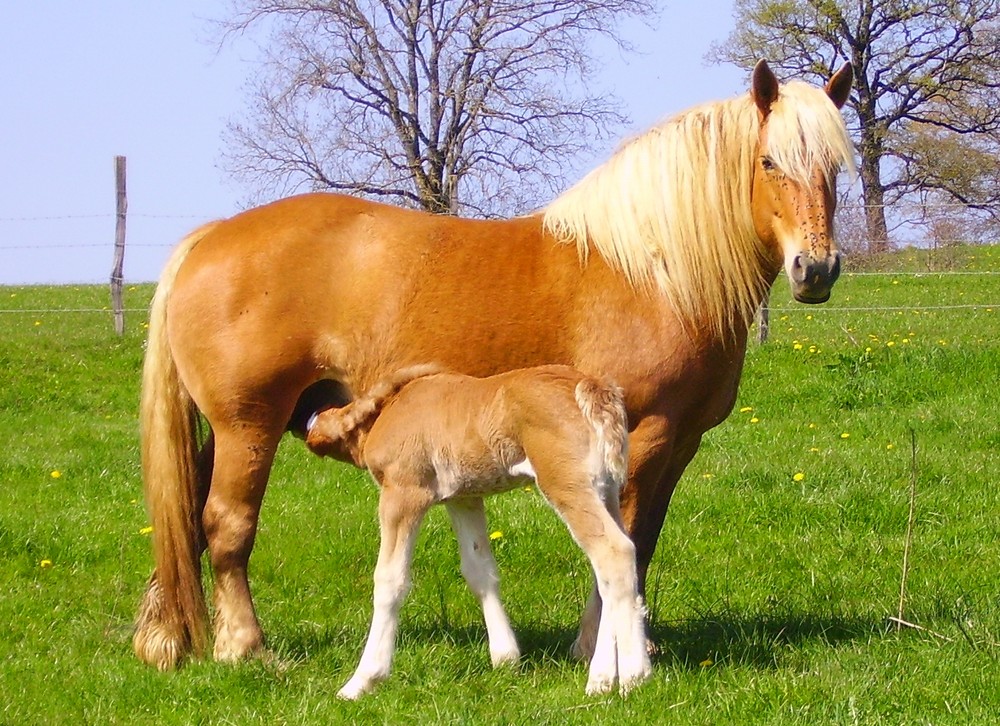 Moment de tendresse.