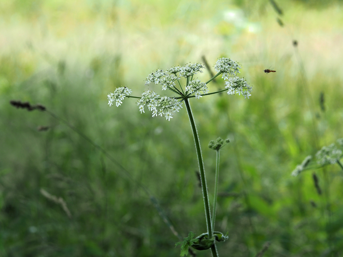 Moment der Ewigkeit