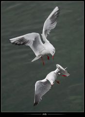 •Moment intense•