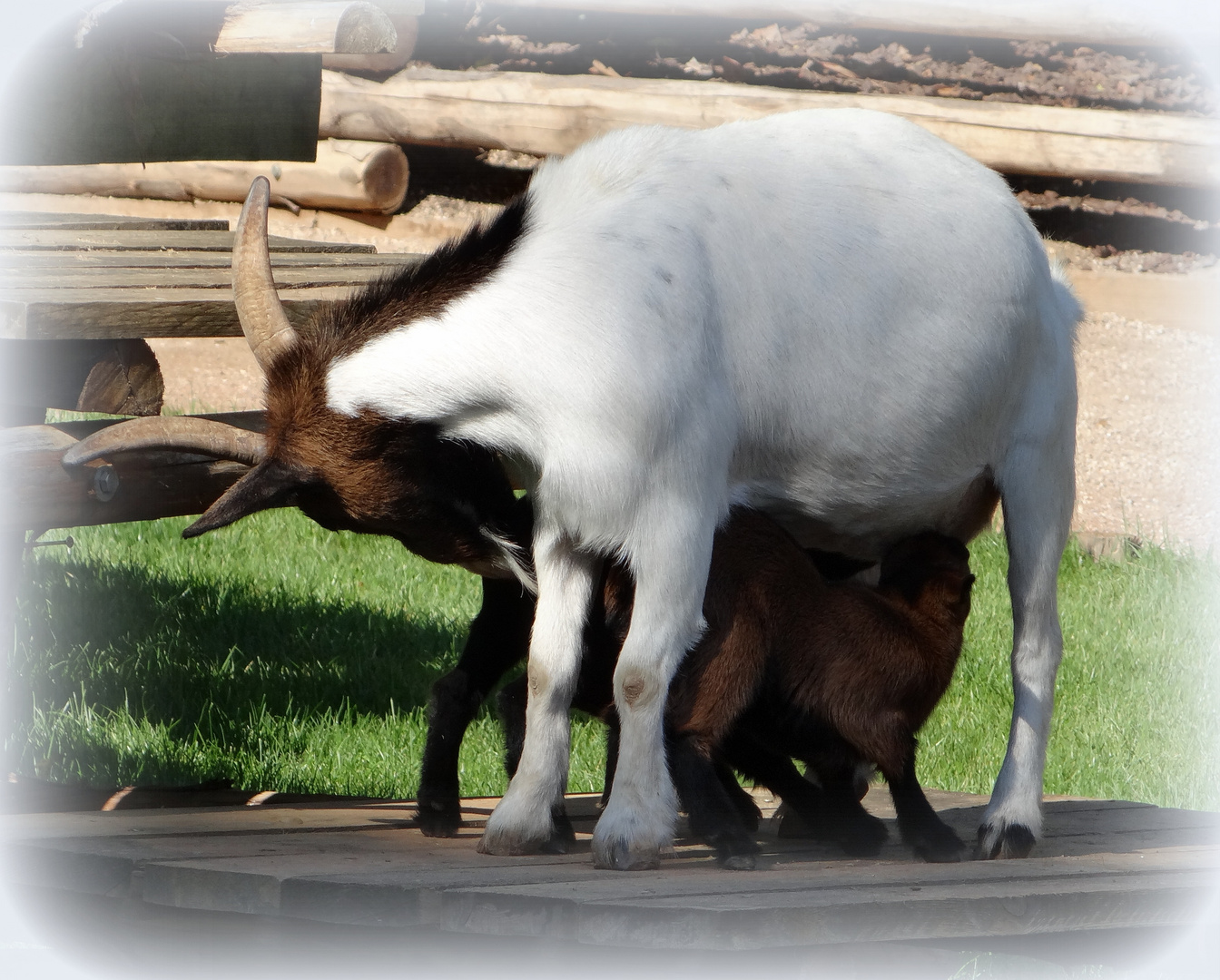 Moment tendresse