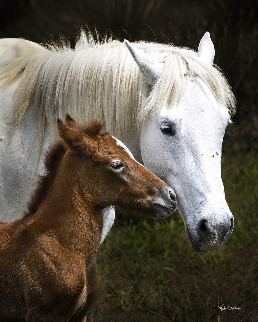 Moment tendresse