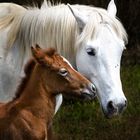 Moment tendresse