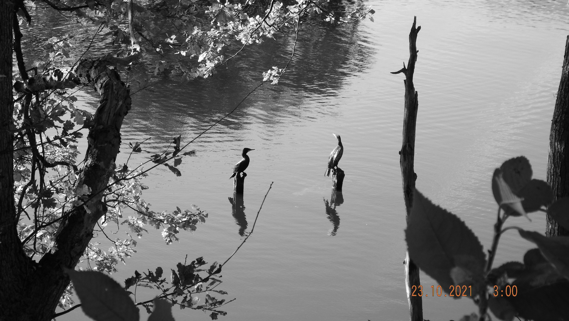 Momentaufnahme Gevelsberg - Berger See 