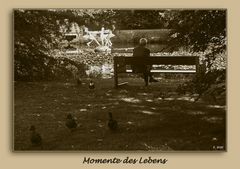 Momente des Lebens