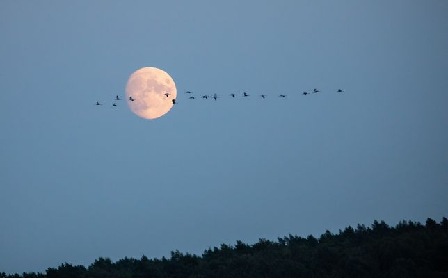 Momente die man nie vergißt