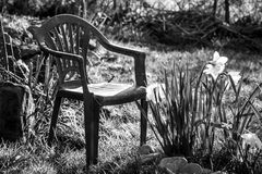 momente im garten