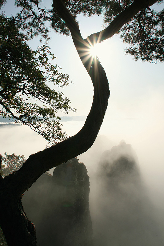 Momente in der Sonne 1 - früh morgens auf der Bastei