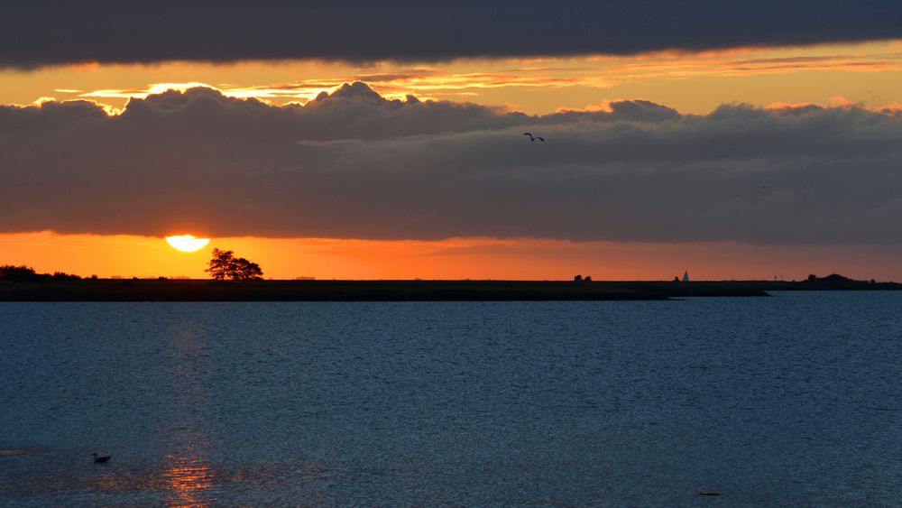 MOMENTE  morgens an der Schlei