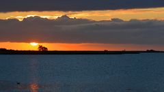 MOMENTE  morgens an der Schlei