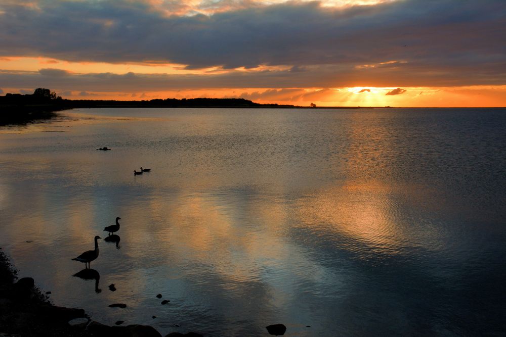 MOMENTE  morgens an der Schlei