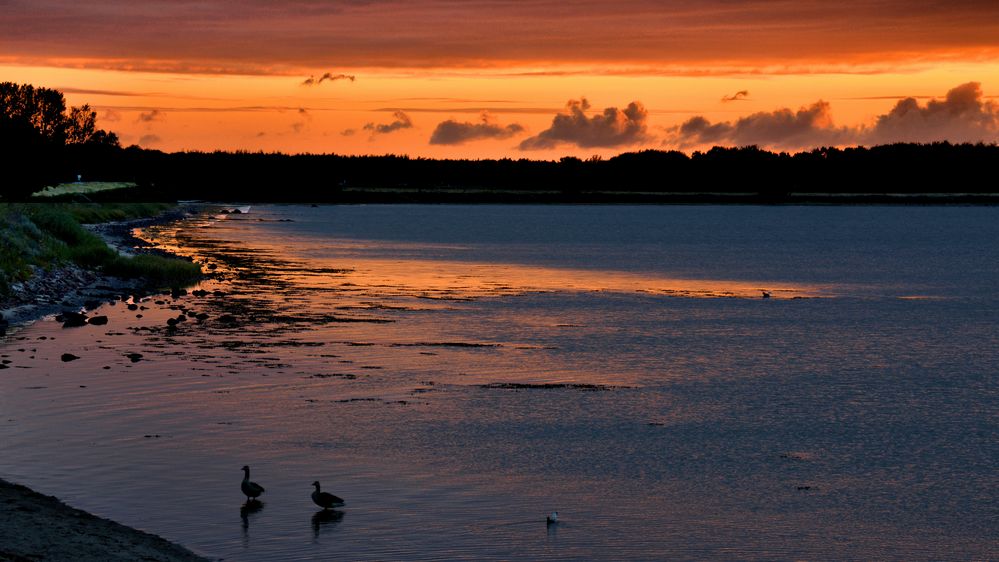 MOMENTE  morgens an der Schlei