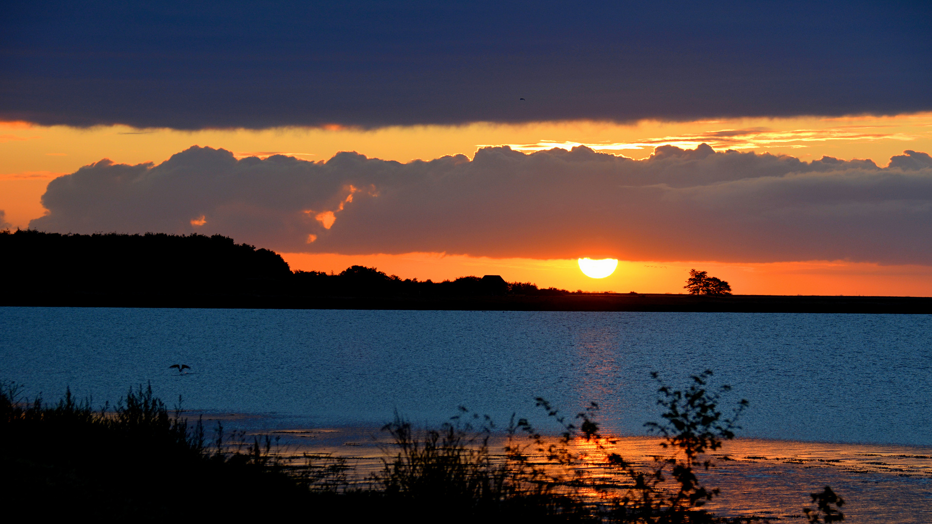 MOMENTE  morgens an der Schlei