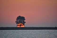 MOMENTE  morgens an der Schlei