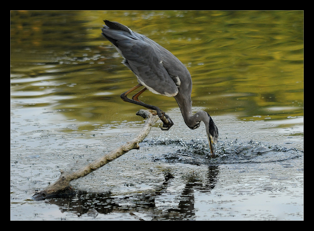 MomenteDerNatur