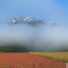 Momenti indimenticabili a "Castelluccio di Norcia"