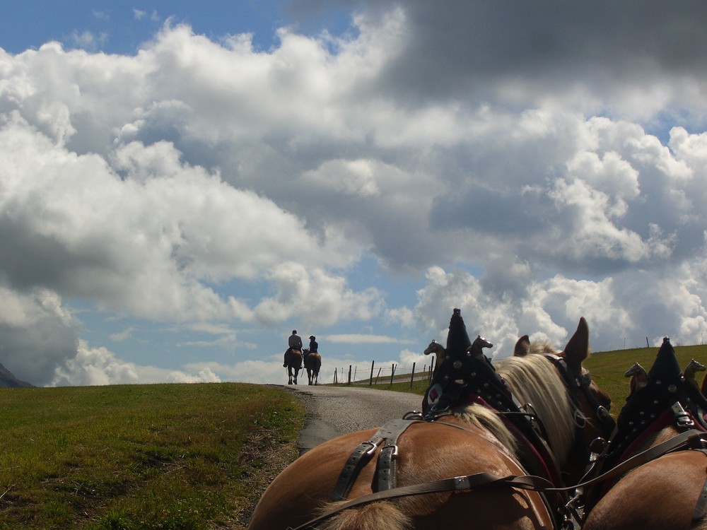 MOMENTI MAGICI SULL'ALPE DI SIUSI