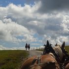 MOMENTI MAGICI SULL'ALPE DI SIUSI