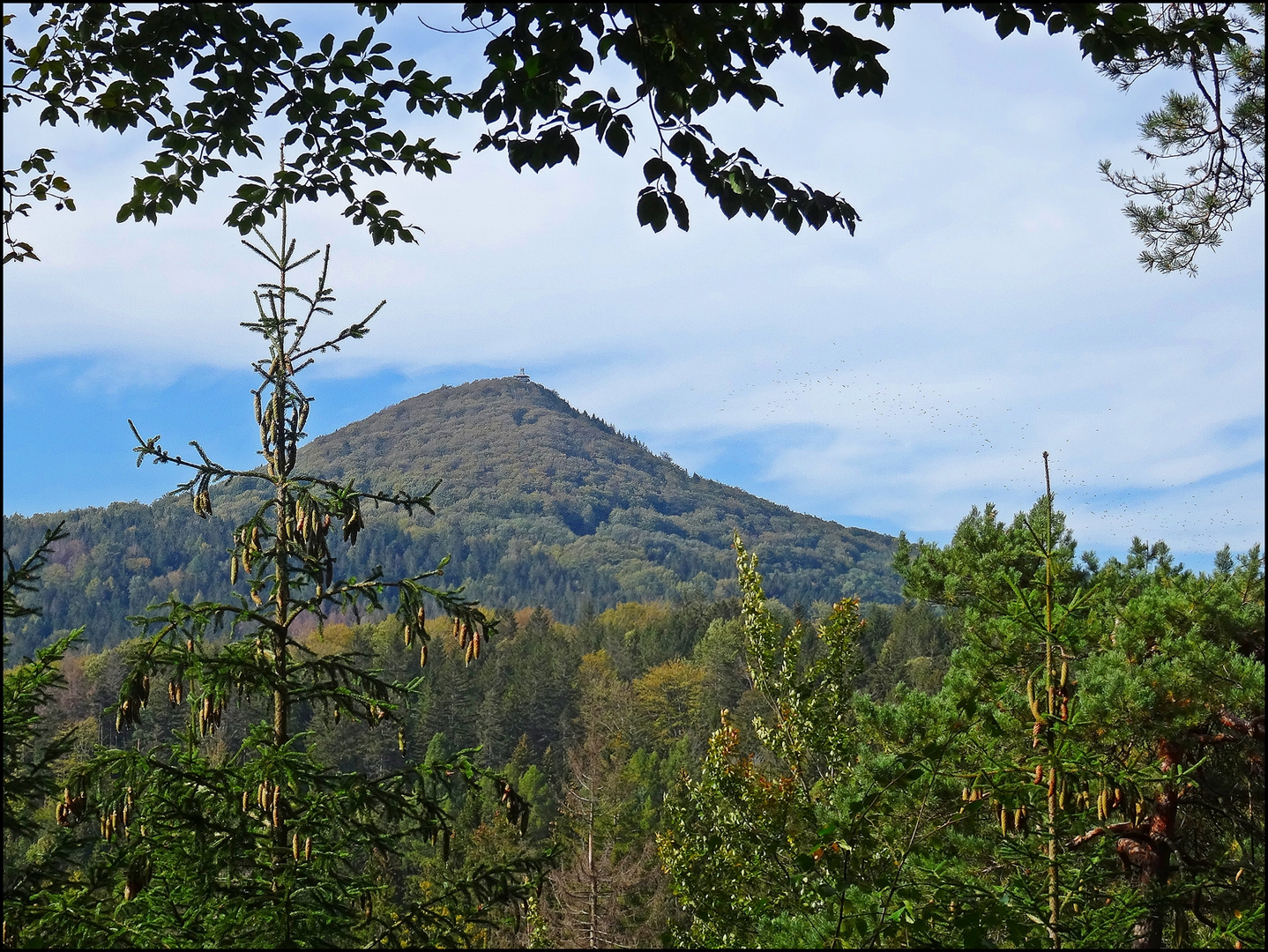 Moments 2020 - Die Lausche