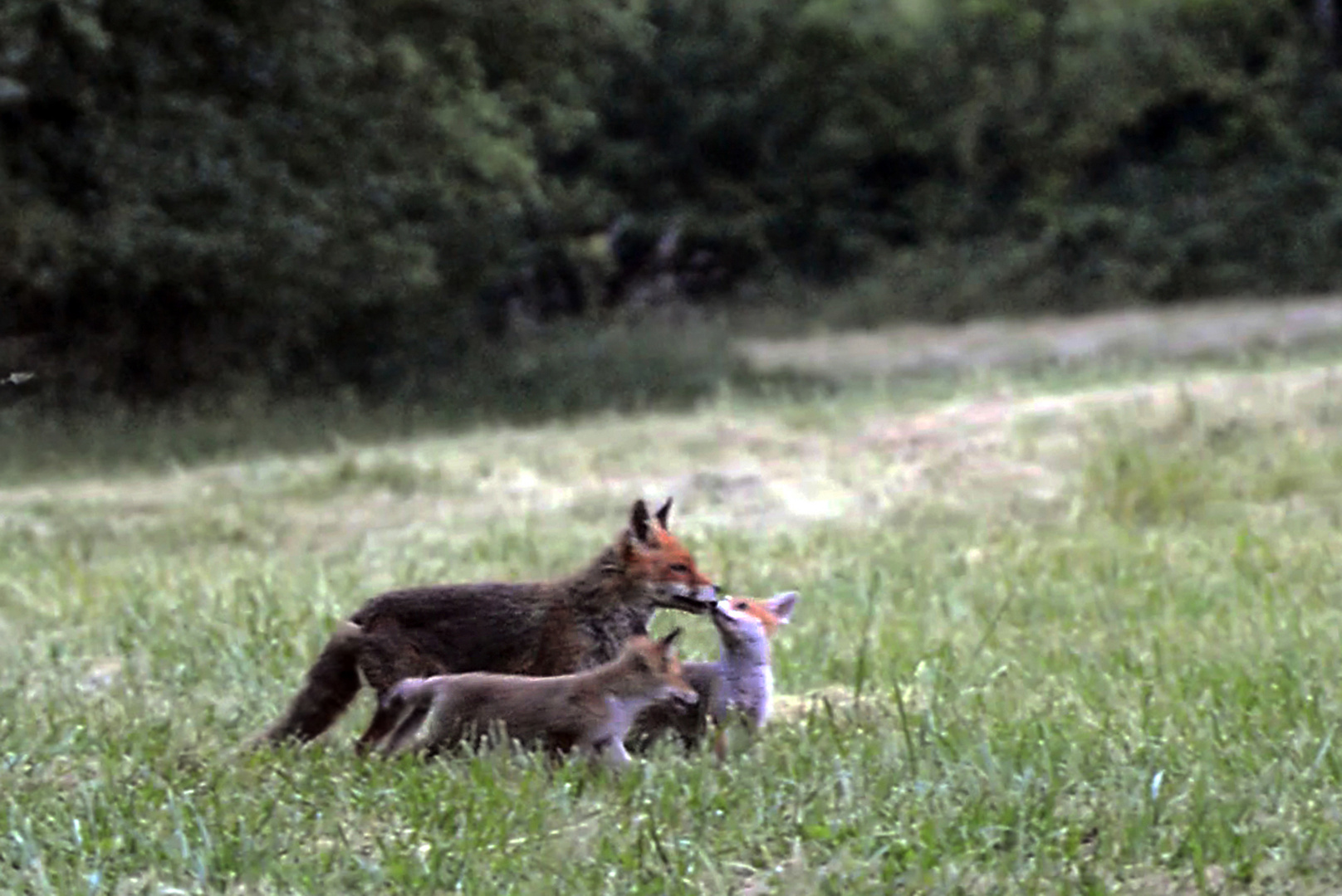 Moments de tendresse.