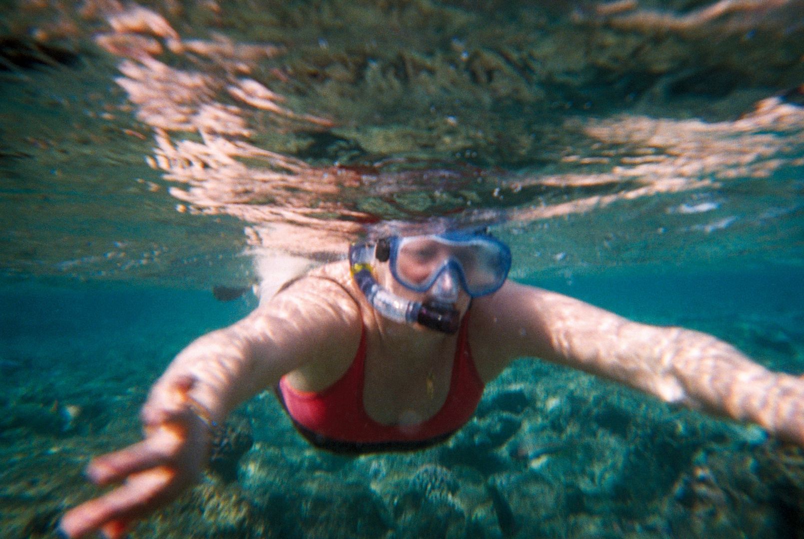 Moments magiques dans la mer Rouge ....