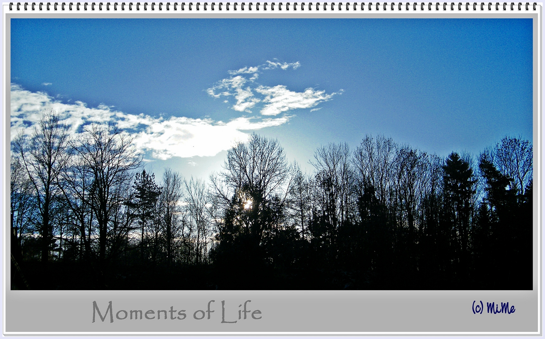 Moments of Life ...