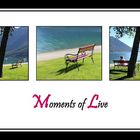 ....Moments of Live....