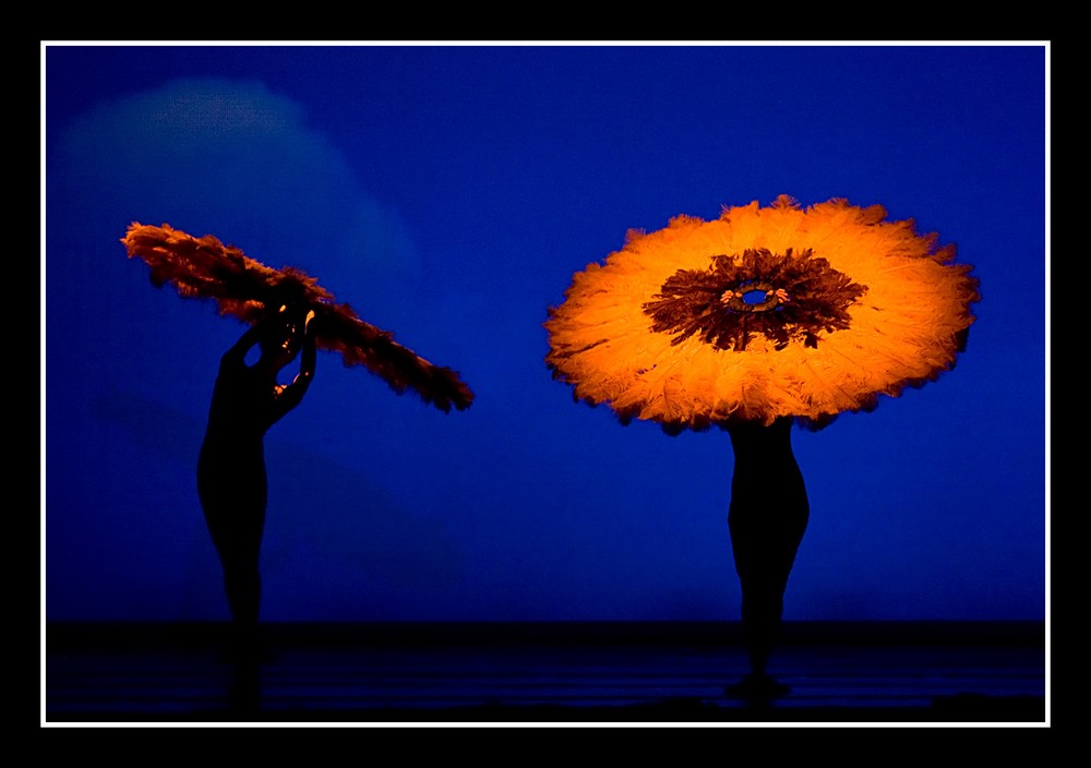 Momix # 1