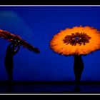 Momix # 1