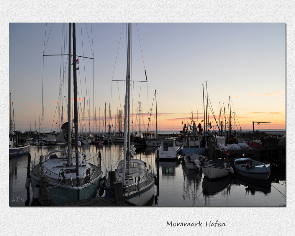 Mommark Hafen (2)